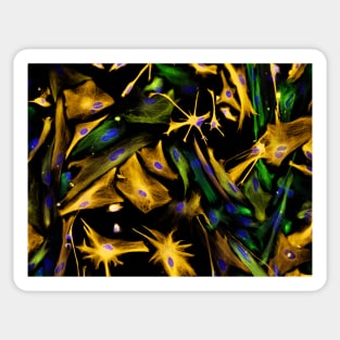 Neural progenitor cell differentiation (C018/8758) Sticker